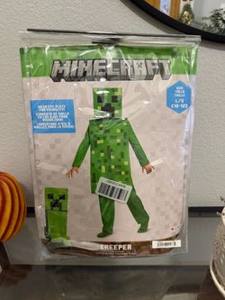 Minecraft costume