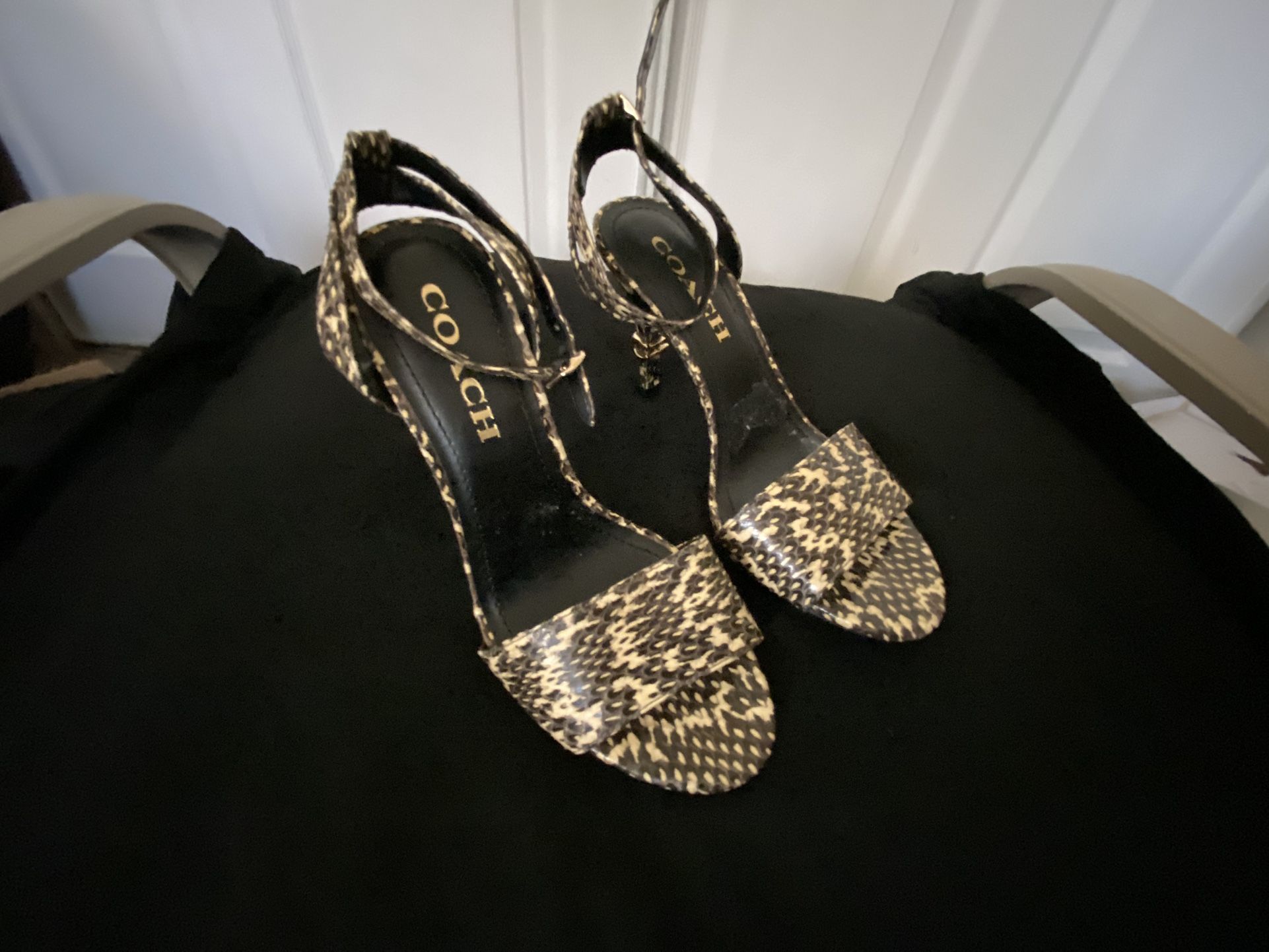 Coach Snakeskin Shoes Size 6