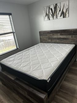 Frame, Matress and Spring Box