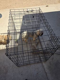 Dog cage