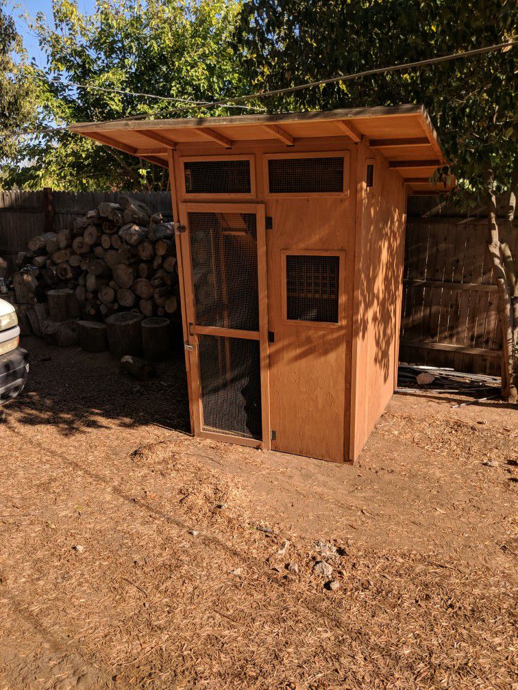 Cat House/Chicken Coop
