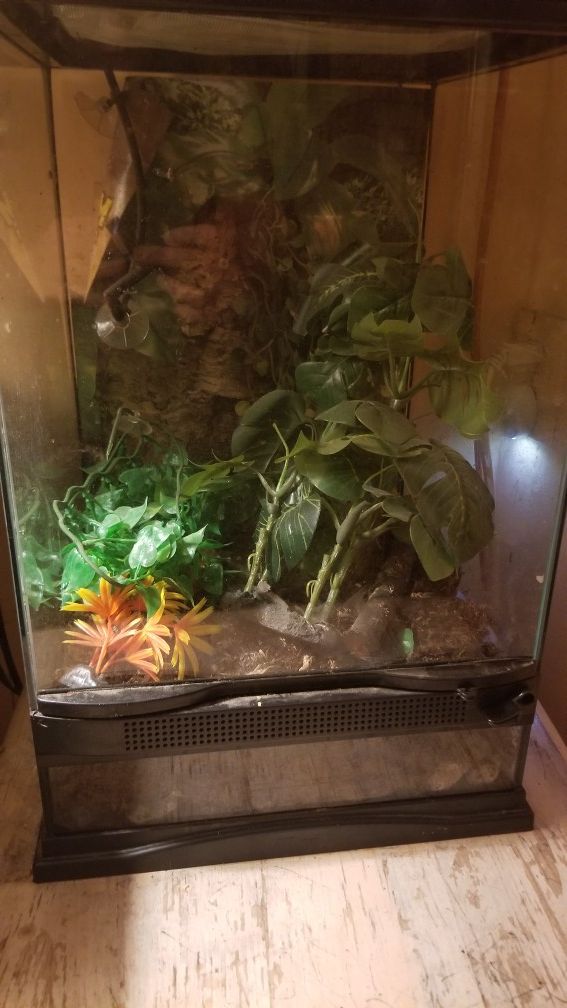 Reptile cage for Sale in Apache Junction, AZ OfferUp