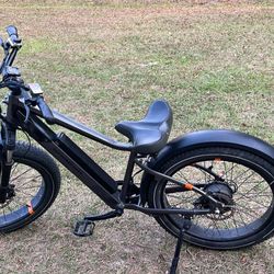 Electric Bike