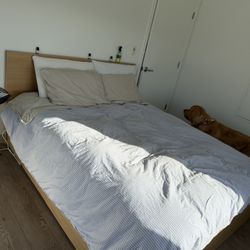 Seeking Queen Size Bed 