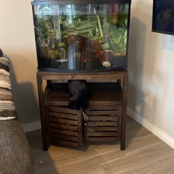 Brand New Fish Tank With Stand 190$ OBO