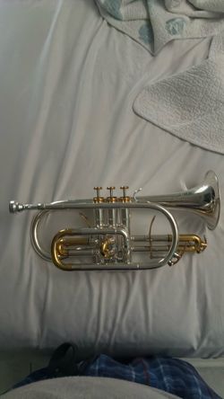 Aurosus Bb Cornet silver