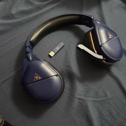 Turtle Beach Headset And Adapter 