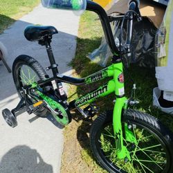 Schwinn Piston 16” Kids’ Bike-Green