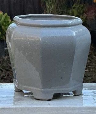 Succulent Pot