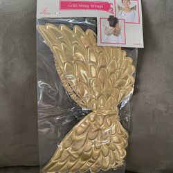 BRAND NEW GOLD SHINY WINGS 