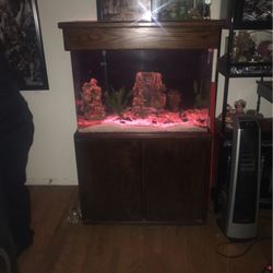 65 Gallon Fish Tank