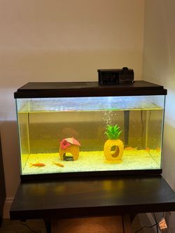 Fish tank
