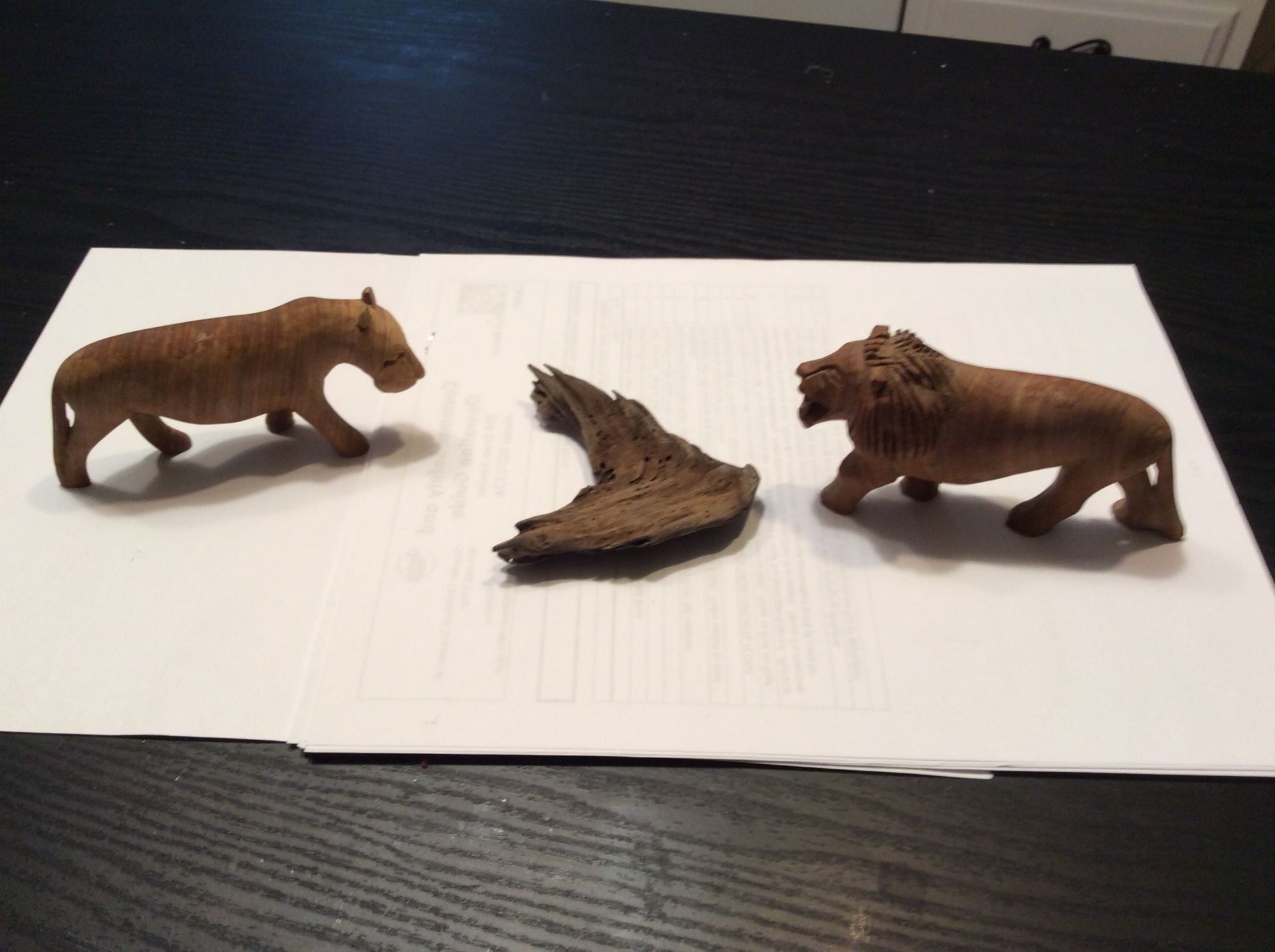 Hand carved wood lions and draft wood