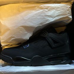 Black Cat 4s