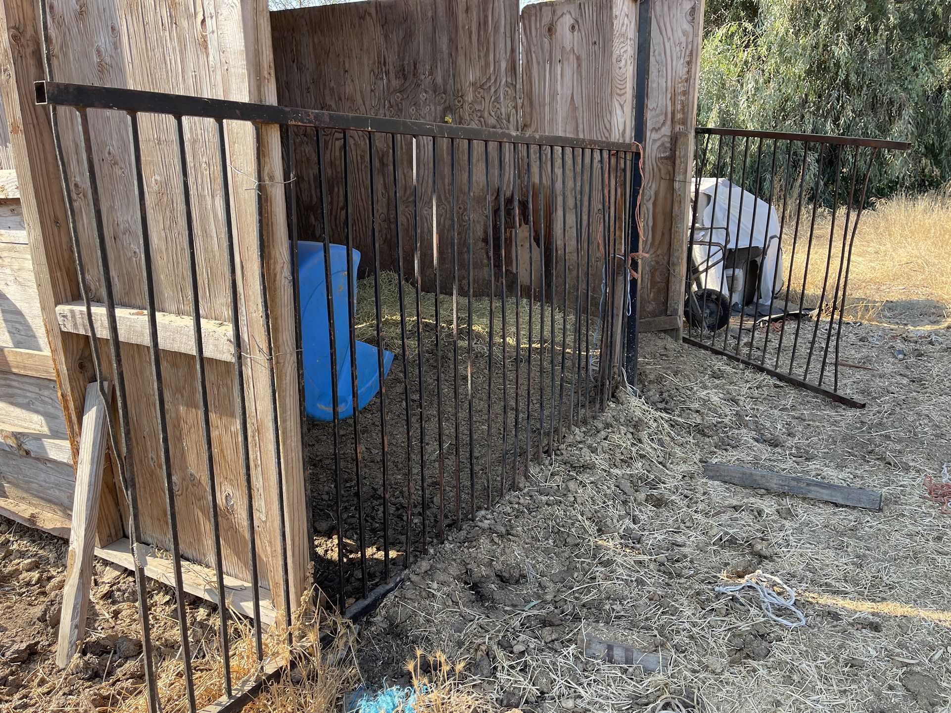 Fence Pannel