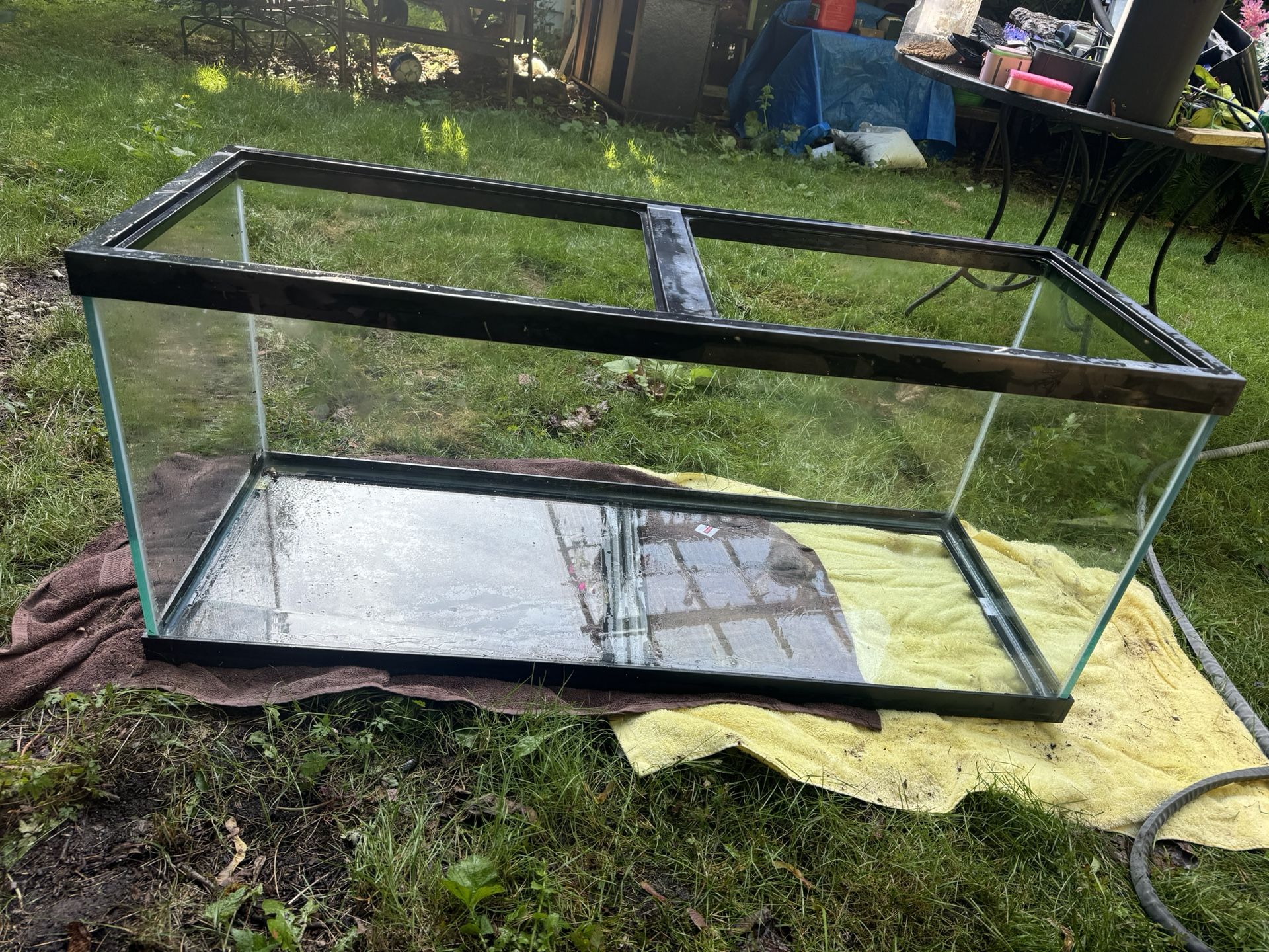 75 Gallon Fish Tank