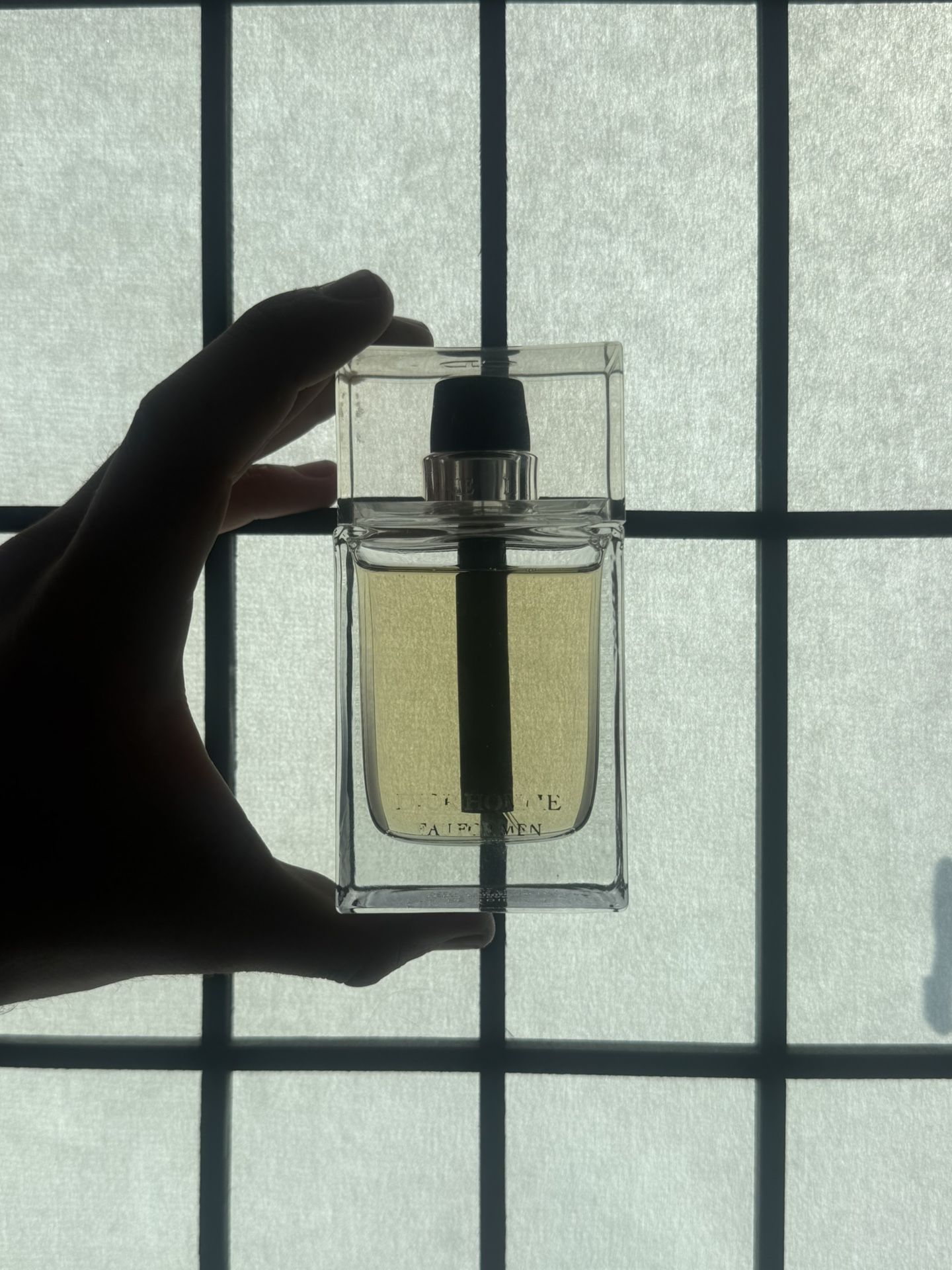 Dior Homme Eau