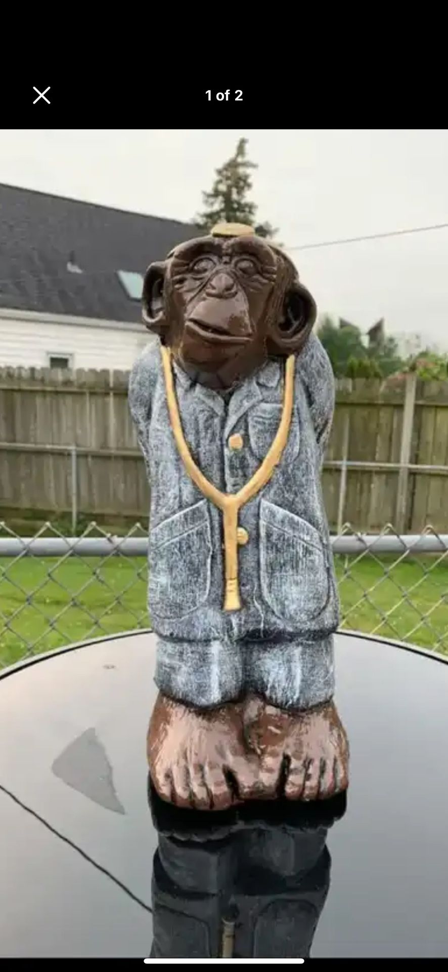The monkey doctor statue