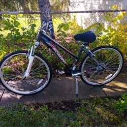 Schwinn Woman's Bike