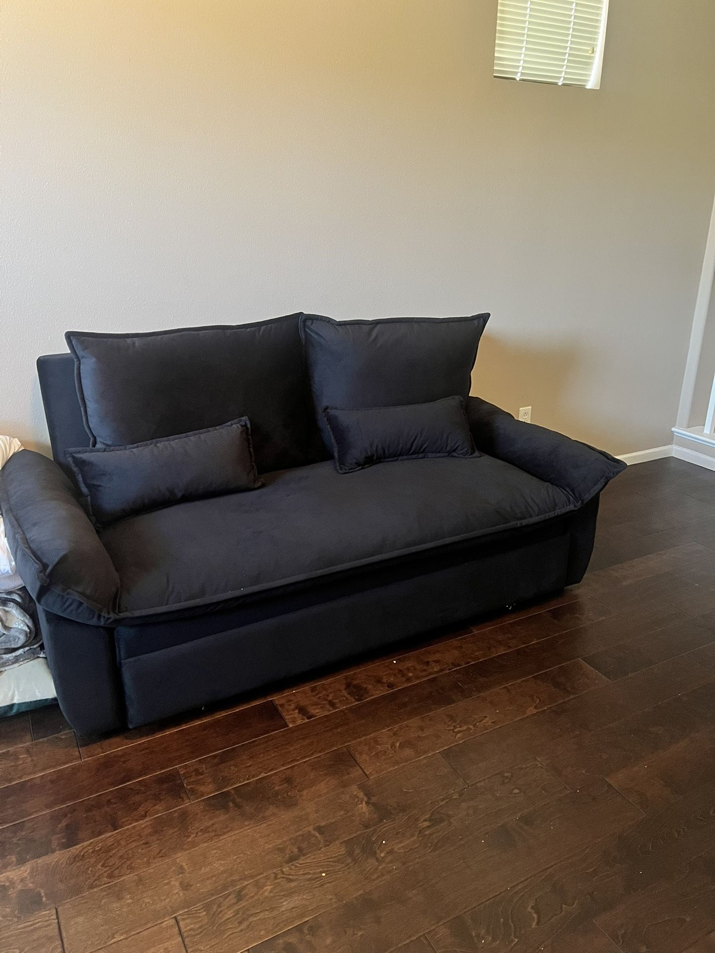 Pull Out Sofa Sleeper