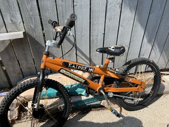 Schwinn Boys Bike “Raider”