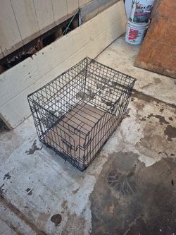Medium Sized Kennel