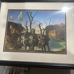 puzzle of Salvador Dalí's famous painting Swans Reflecting Elephants
