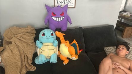 Pokémon Plushies