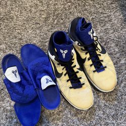 KOBE 7 CONCORD Sz.12