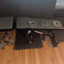 Weight Bench, Adjustable Dumbbells, Padded Lifting Floor,  