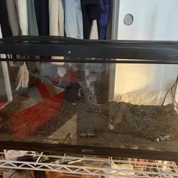 Zoo med tank 25 obo comes with 2 light fixtures