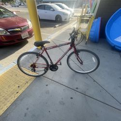 (TRADE Or Price Negotiation) Trading Old School Mountain Bike