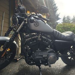 2020 Harley Davidson Sportster 883