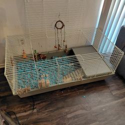 Guinea Pig Cage