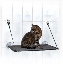 Cat Window Perch