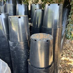 Pots Plant Big Outside