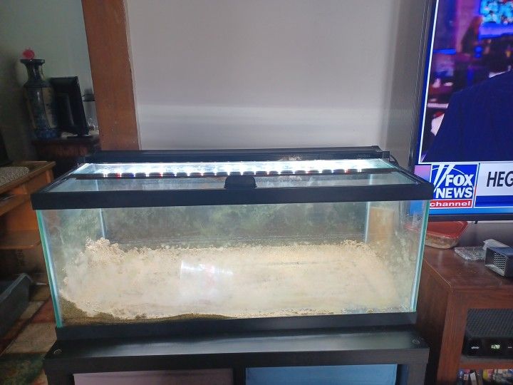 20g Aquarium/Tank