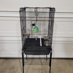 Bird Cage
