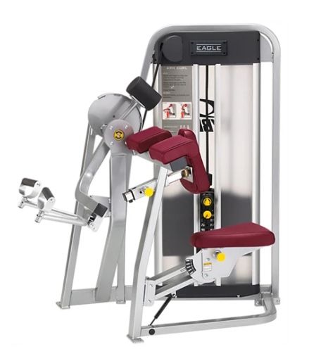 Cybex Eagle Arm Curl Machine $2,500