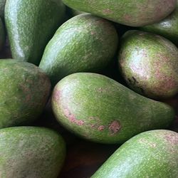 Avocado Muy Buenos 