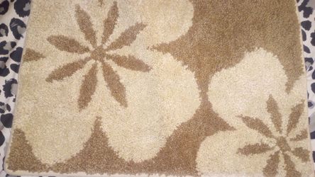 Bath Rug 23 in wide and 15 in long