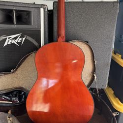 Lauren Guitar 