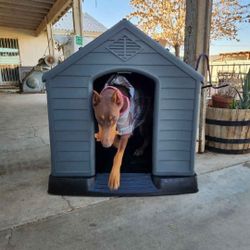 BRAND NEW IN Box  Xl Dog House All Weather Water Resistant Ez Clean Raised Base Cusromizable Front Panel Dog Igloo Casa De Mascota 