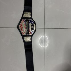 Wwe championship replica