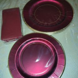  Disposable Plates