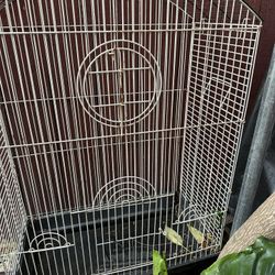 Cage For Birds