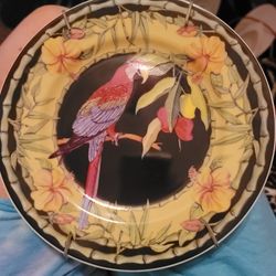 Macaw Plates..