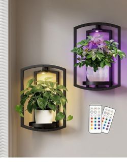Wall Planters with Wireless Remote Lights, Frame Plant Wall Shelves Wall Mounted
 2 Pack new ✨️