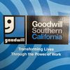 Goodwill7