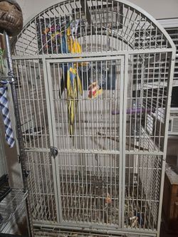 Macaw Bird Cage